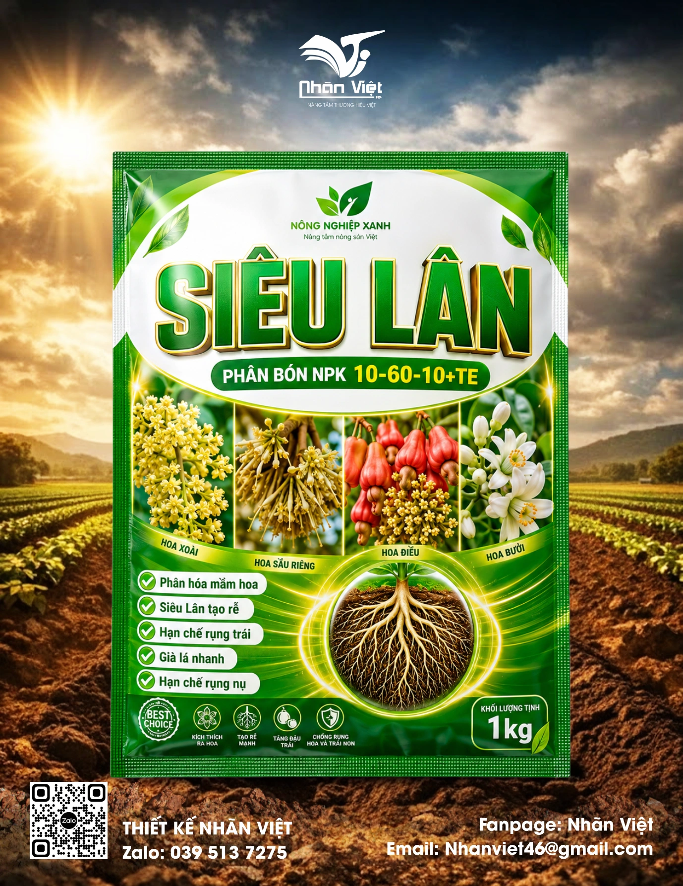 Nhãn mác & Bao bì