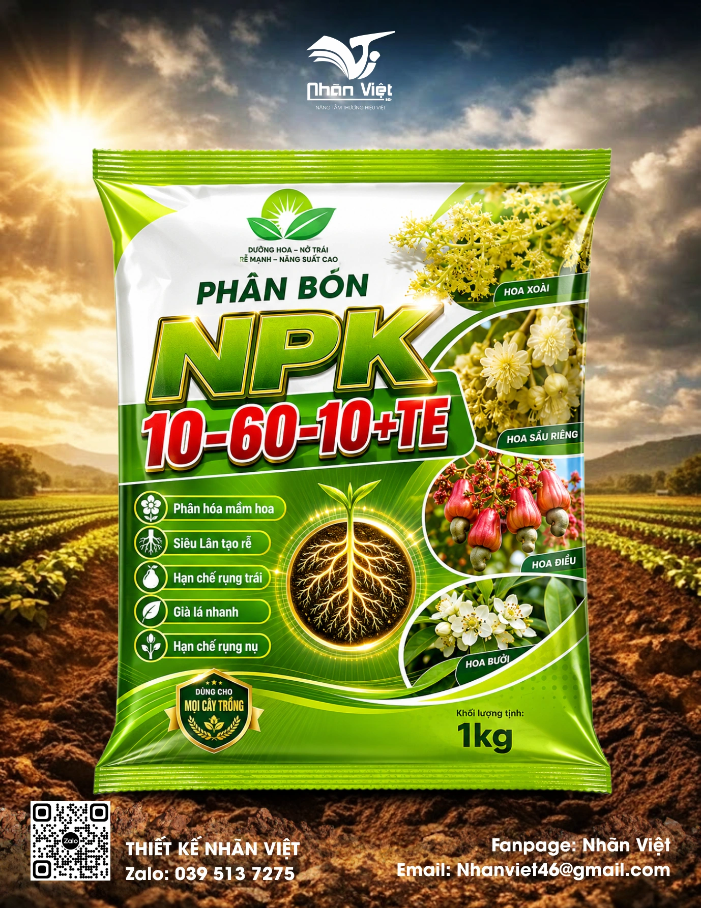 Nhãn mác & Bao bì