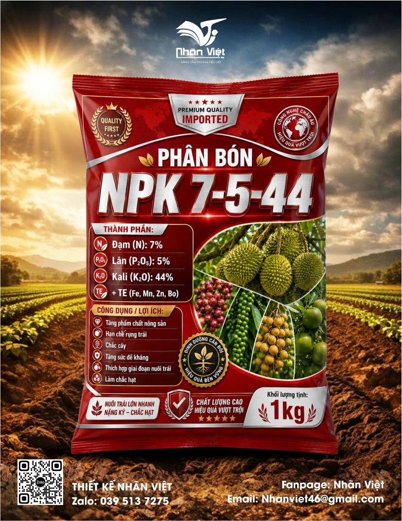 Nhãn mác & Bao bì