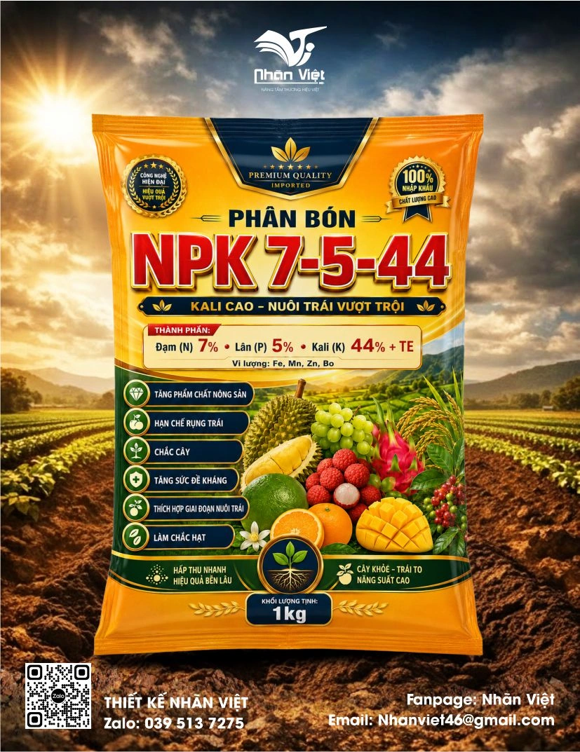Nhãn mác & Bao bì