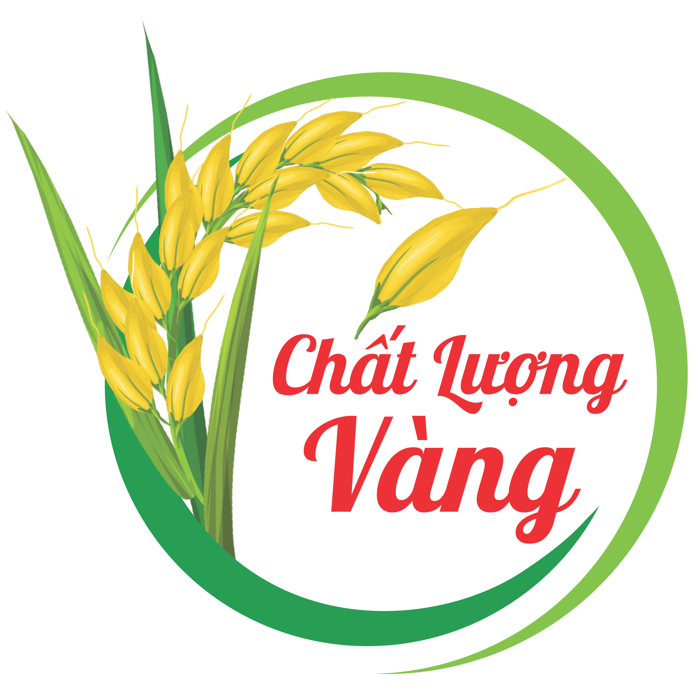 BÔNG LÚA VÀNG.png