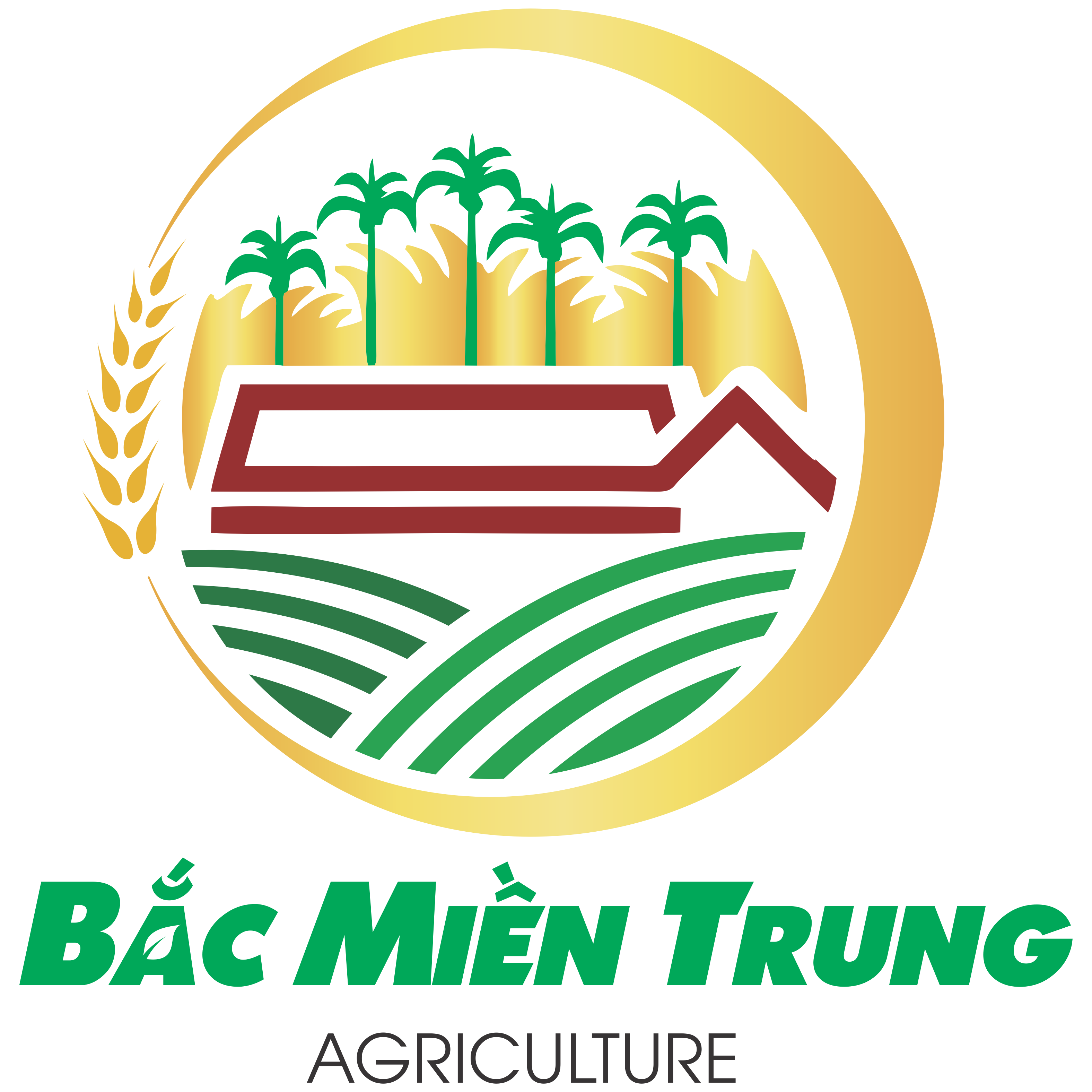 BẮC MIỀN TRUNG.png